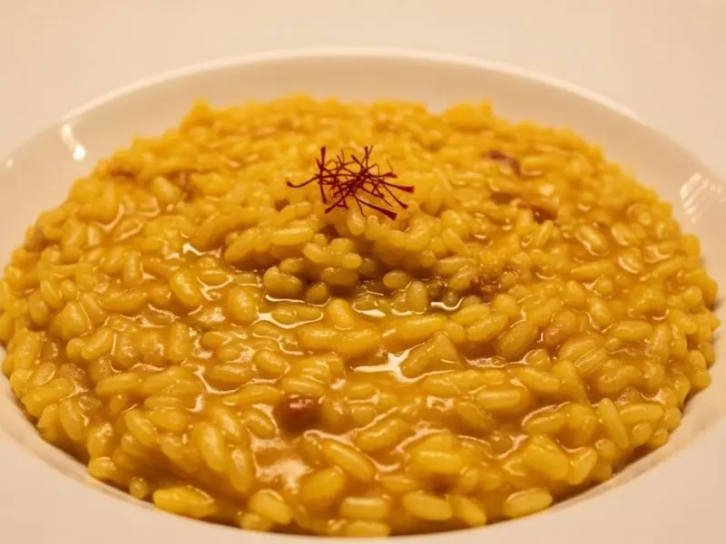 "Risotto alla milanese com açafrão em prato raso mostrando cor dourada intensa do pigmento crocina textura all'onda perfeita e pistilos visíveis como guarnição em apresentação elegante"
