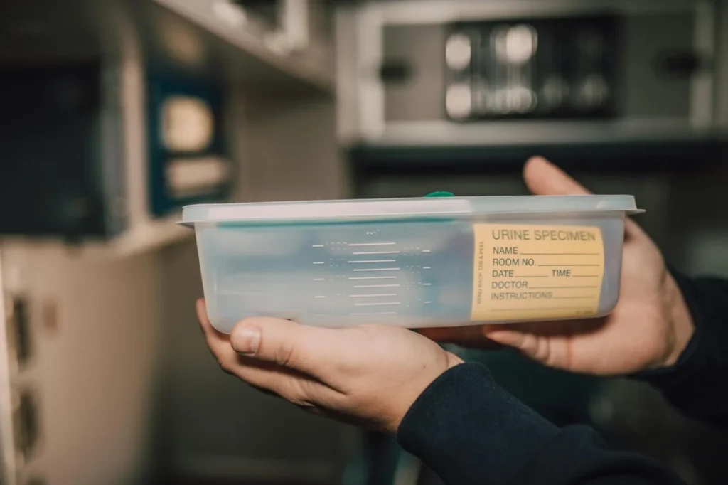 Gato Urinando Fora Da Caixa