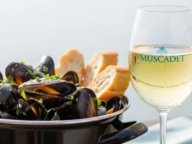 moules marinières harmonizado com taça de Muscadet gelado em almoço à beira-mar